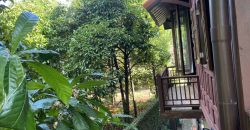 บ้านเดี่ยว ติดริมน้ำนครนายก บ้านไม้ทั้งหลัง สภาพสวย บรรยากาศดีมากกกก