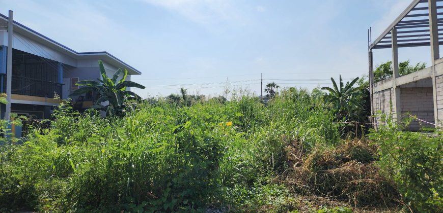 ที่ดินถมแล้ว 2 แปลง(100/150 ตรว.) ทำเลดี เดินทางสะดวก @บางศรีเมือง นนทบุรี