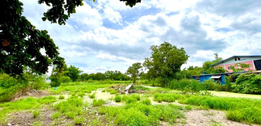 ที่ดินติดคลองลาดละมุด บรรยากาศดี ทำเลอนาคต ราคาดีงาม หน้าแปลงหันทิศเหนือ