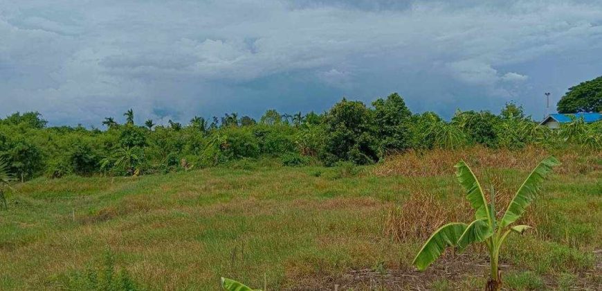 ที่ดิน 1 ไร่ ย่านบางใหญ่ นนทบุรี ใกล้ทางด่วนตัดใหม่ เดินทางสะดวกสบาย