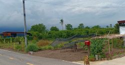 ที่ดิน 1 ไร่ ย่านบางใหญ่ นนทบุรี ใกล้ทางด่วนตัดใหม่ เดินทางสะดวกสบาย