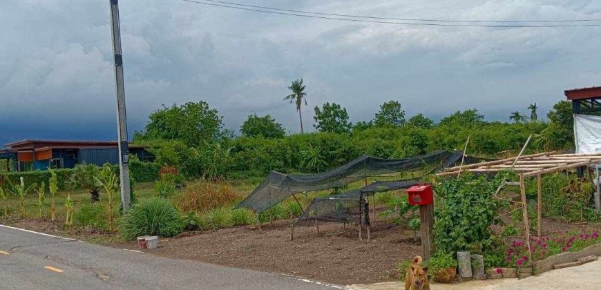 ที่ดิน 1 ไร่ ย่านบางใหญ่ นนทบุรี ใกล้ทางด่วนตัดใหม่ เดินทางสะดวกสบาย