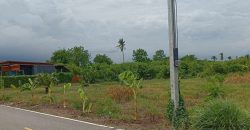 ที่ดิน 1 ไร่ ย่านบางใหญ่ นนทบุรี ใกล้ทางด่วนตัดใหม่ เดินทางสะดวกสบาย