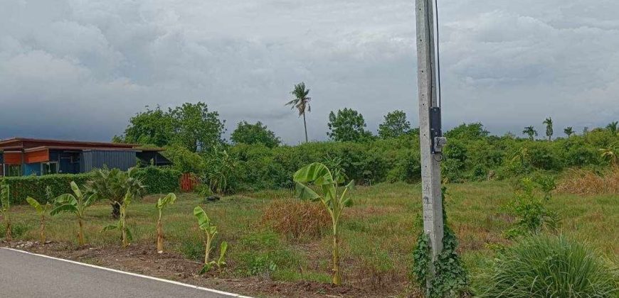 ที่ดิน 1 ไร่ ย่านบางใหญ่ นนทบุรี ใกล้ทางด่วนตัดใหม่ เดินทางสะดวกสบาย