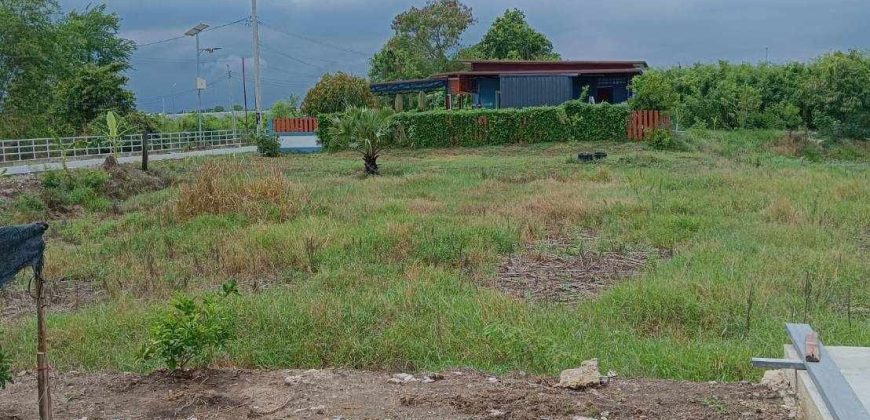 ที่ดิน 1 ไร่ ย่านบางใหญ่ นนทบุรี ใกล้ทางด่วนตัดใหม่ เดินทางสะดวกสบาย