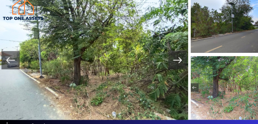 ที่ดินสวยๆ ติดถนนคอนกรีต อยู่ในย่านชุมชน ซอยคลองตัน บางใหญ่ นนทบุรี