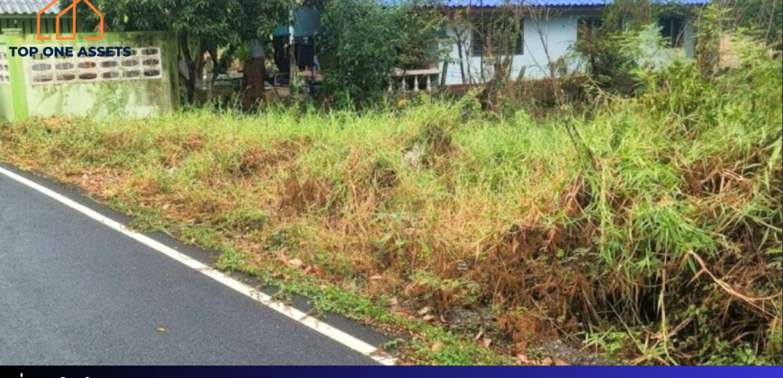 ที่ดิน 150 ตรว. อยู่ในแหล่งชุมชน ใกล้วัดลาดปลาดุก บางบัวทอง นนทบุรี