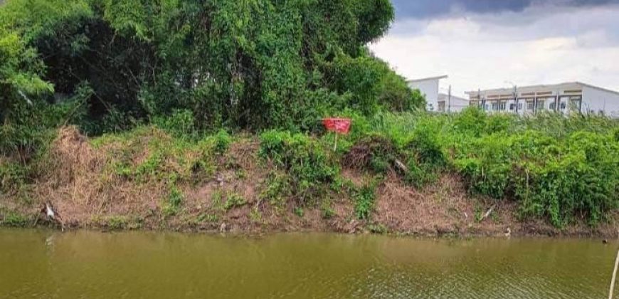 ที่ดินติดคลองลาดละมุด ซอยวัดพระเงิน บางใหญ่ ทำเลดี กำลังขยายถนนเพิ่ม