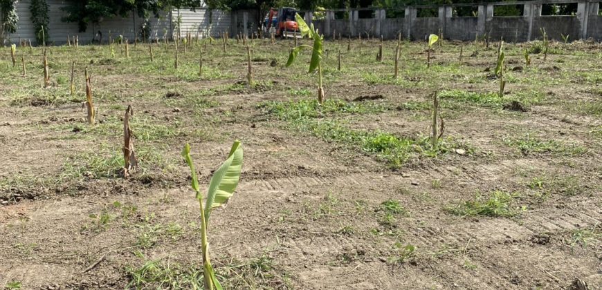 ที่ดินติดคลองบางหลวงเชียงราก ซอยซอยวัดมะขาม ที่ถมดินแล้ว บรรยากาศดี