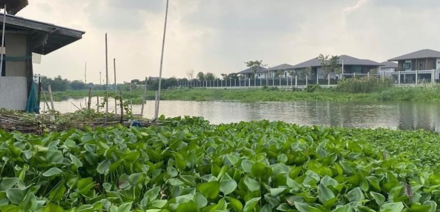 ที่ดินริมน้ำถมแล้ว ซอยวัดดาวเรือง ติดคลองบางหลวงเชียงราก ปทุมธานี