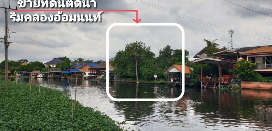 *ที่ดินถมแล้ว สวย ติดคลองอ้อมนนท์ น้ำไฟพร้อม บรรยากาศร่มรื่น เงียบสงบ