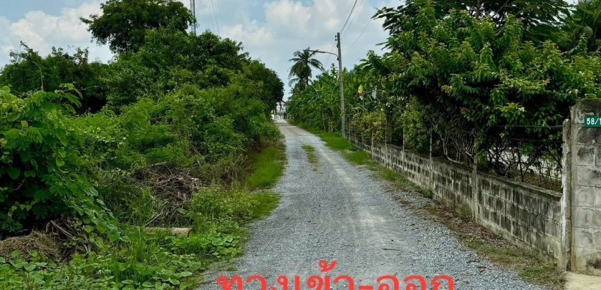 ที่ดินสวย 1 ไร่ ใกล้ถนนนาสร้าง เมืองนครปฐม ทำเลดี เข้าออกได้หลายทาง