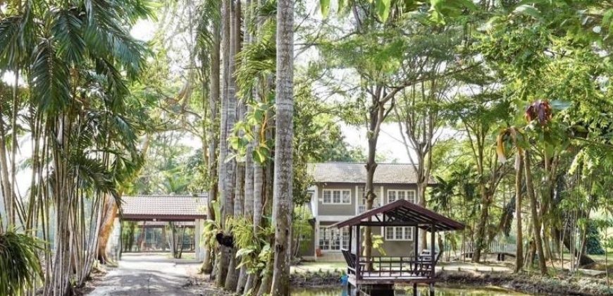 บ้านสวนริมคลอง 3 ไร่ ติดถนนใหญ่ บรรยากาศเงียบสงบ ประชาสำราญ หนองจอก เพียง 21 ล้าน