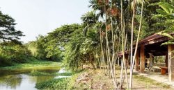 บ้านสวนริมคลอง 3 ไร่ ติดถนนใหญ่ บรรยากาศเงียบสงบ ประชาสำราญ หนองจอก เพียง 21 ล้าน