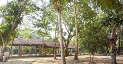 บ้านสวนริมคลอง 3 ไร่ ติดถนนใหญ่ บรรยากาศเงียบสงบ ประชาสำราญ หนองจอก เพียง 21 ล้าน