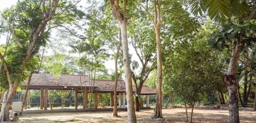 บ้านสวนริมคลอง 3 ไร่ ติดถนนใหญ่ บรรยากาศเงียบสงบ ประชาสำราญ หนองจอก เพียง 21 ล้าน