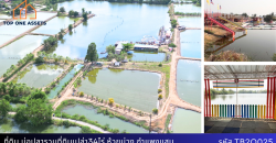 ที่ดินทำเลดี มีบ่อปลาและที่ดินเปล่ารวม 34 ไร่ติดถนนคอนกรีต เข้าออกสะดวก กำแพงแสน นครปฐม