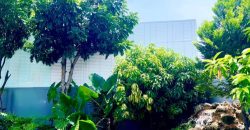 บ้านเดี่ยวพื้นที่ใหญ่สุดในโครงการ บางกอก บูเลอวาร์ด พระราม 5 อายุบ้าน 3 ปี ราคาสุดคุ้ม