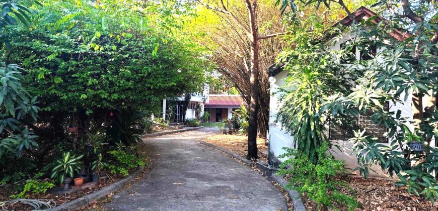 *บ้านเดี่ยวสุดหรูเล่นระดับ 4 ชั้น พื้นที่ 447 ตรว. ซอยสุคนธสวัสดิ์ 17 เกษตร-นวมินทร์ ใกล้ทางด่วนฉลองรัช