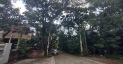 *บ้านเดี่ยว 226 ตรว. วิวคลอง บรรยากาศร่มรื่น กรีนนิชชาเล่ต์ บรมราชชนนี 11.9 ล้าน